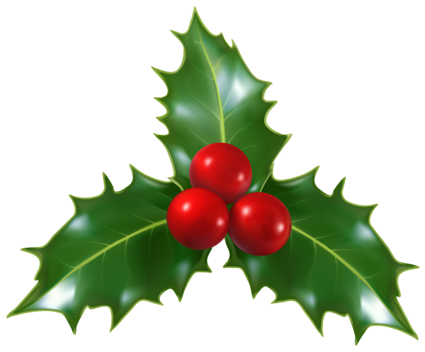 This png image - Christmas Holly Mistletoe PNG Clip-Art Image, is available for free download