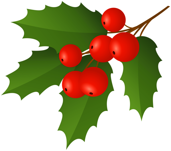 This png image - Christmas Holly Mistletoe PNG Clipart, is available for free download