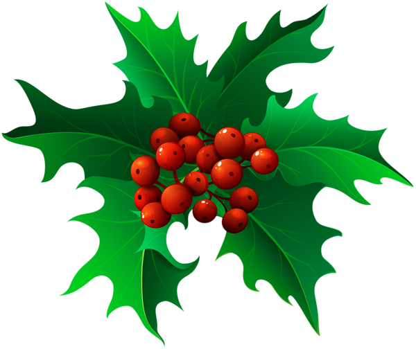 This png image - Christmas Holly Mistletoe Transparent PNG Clip Art, is available for free download
