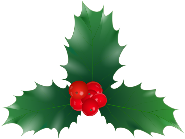 This png image - Christmas Holly PNG Clipart, is available for free download