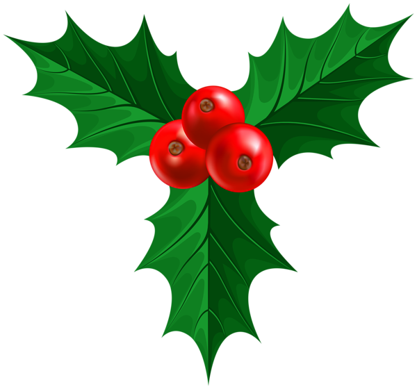 This png image - Christmas Holly PNG Image, is available for free download