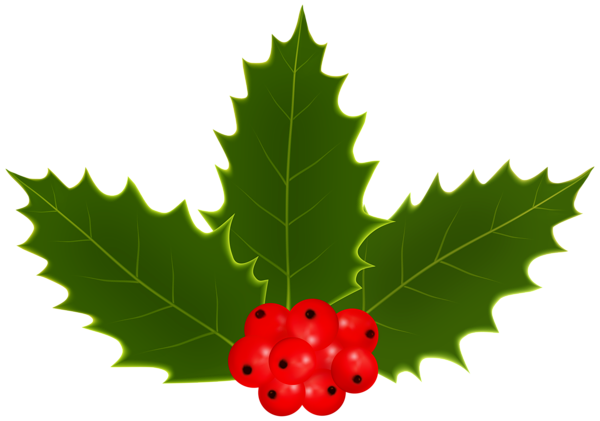 This png image - Christmas Holly PNG Transparent Clipart, is available for free download