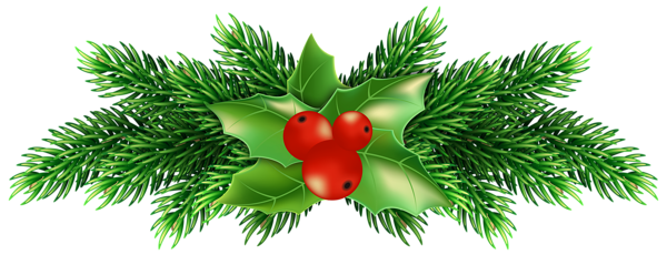 This png image - Christmas Holly Pine PNG Clip Art Image, is available for free download