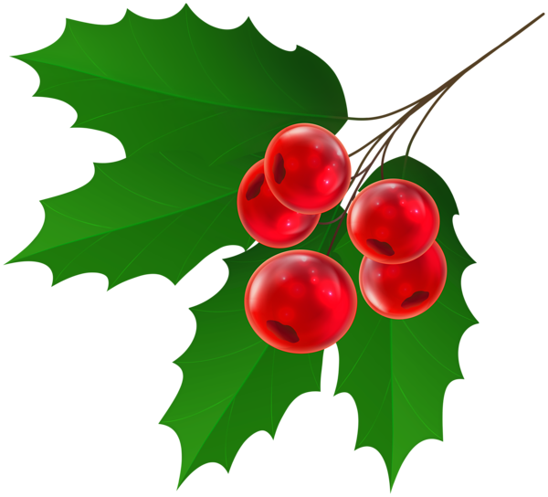 This png image - Christmas Holly Transparent Clipart, is available for free download