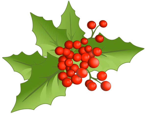 This png image - Christmas Large PNG Mistletoe Clipart, is available for free download