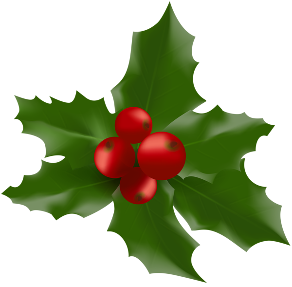 Christmas Mistletoe Large PNG Clipart Image | Gallery Yopriceville
