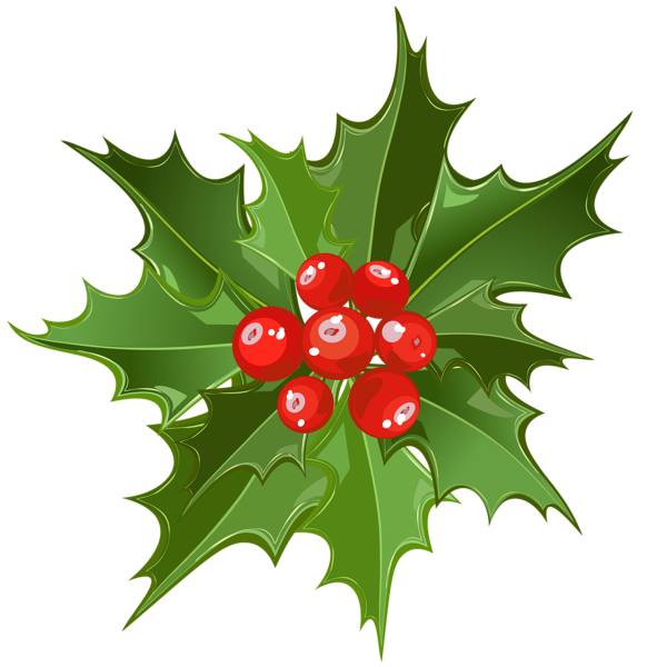 This png image - Christmas Mistletoe PNG Art, is available for free download