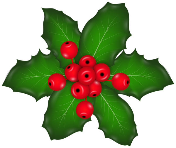 This png image - Christmas Mistletoe PNG Clip Art Image, is available for free download