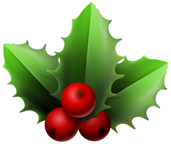Christmas Mistletoe PNG Clipart Image | Gallery Yopriceville - High ...