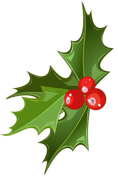 This png image - Christmas Mistletoe Picture, is available for free download