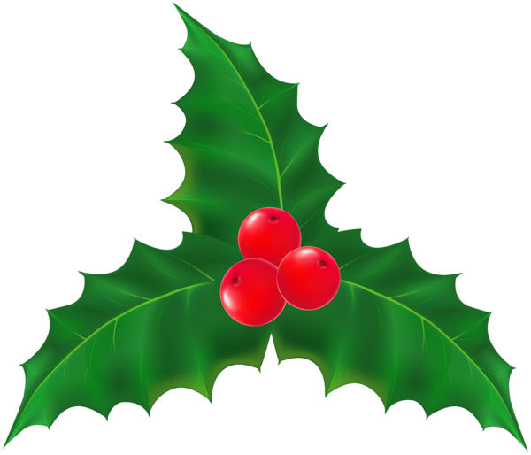 This png image - Christmas Mistletoe Transparent Clip Art, is available for free download