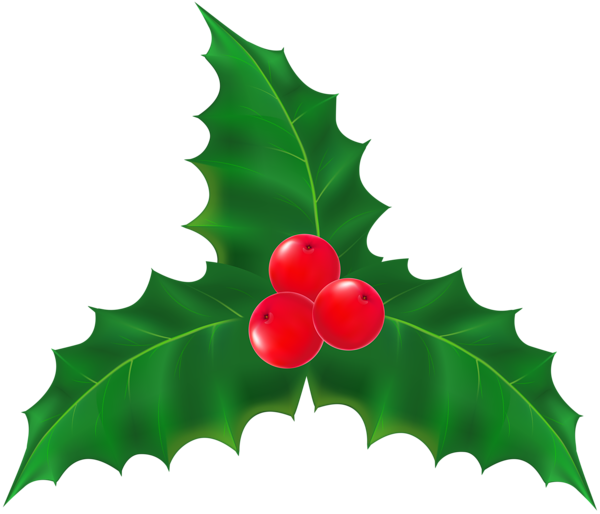 Christmas Mistletoe Transparent Clip Art | Gallery Yopriceville - High