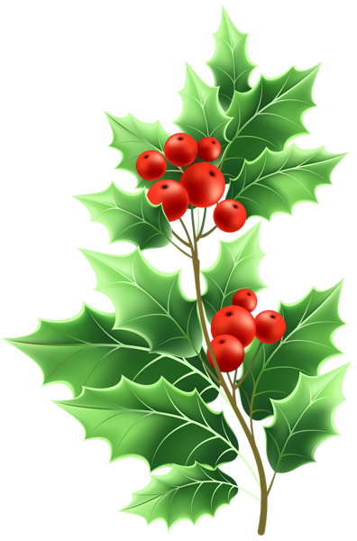 This png image - Christmas Mistletoe Transparent PNG Clip Art, is available for free download