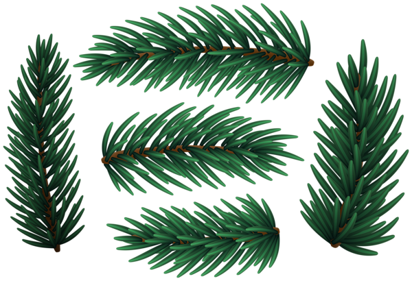This png image - Christmas Pine Branches Clip Art, is available for free download