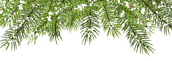 This png image - Christmas Pine Branches Decor PNG Clip Art, is available for free download