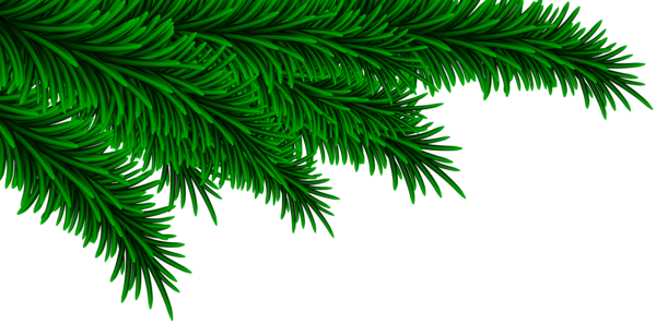 This png image - Christmas Pine Branches Decorating PNG Clip Art Image, is available for free download