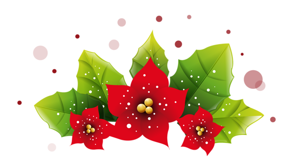 This png image - Christmas Poinsetta Decoration PNG Picture, is available for free download