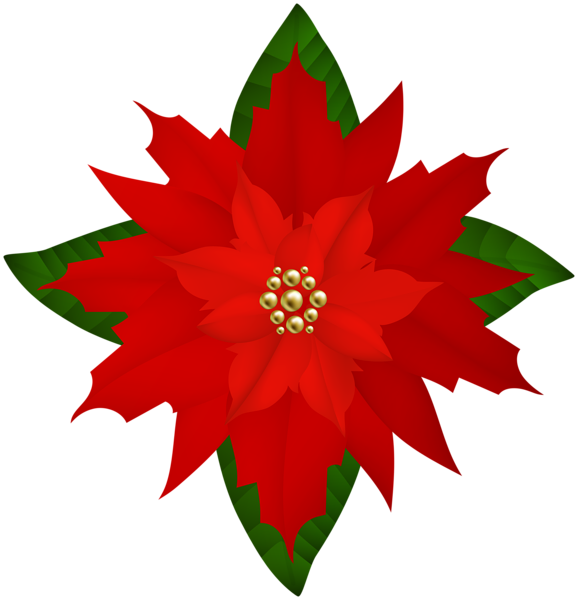 This png image - Christmas Poinsettia Flower PNG Clipart, is available for free download