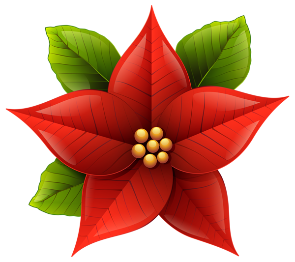 This png image - Christmas Poinsettia PNG Clip-Art Image, is available for free download
