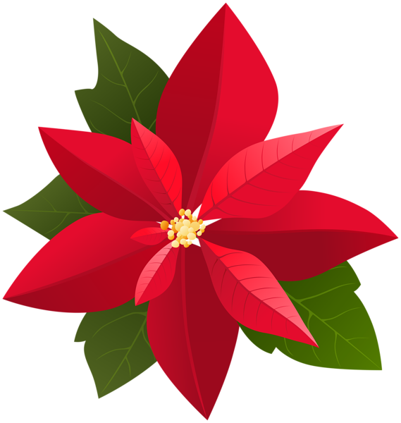This png image - Christmas Poinsettia PNG Clip Art, is available for free download