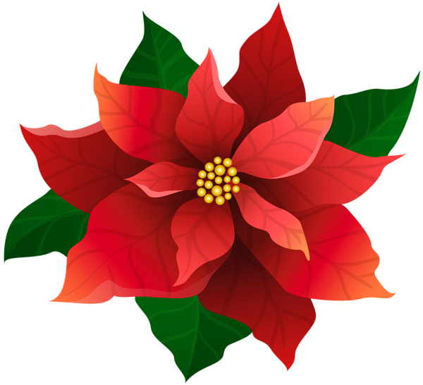 This png image - Christmas Poinsettia Red Transparent Clip Art, is available for free download