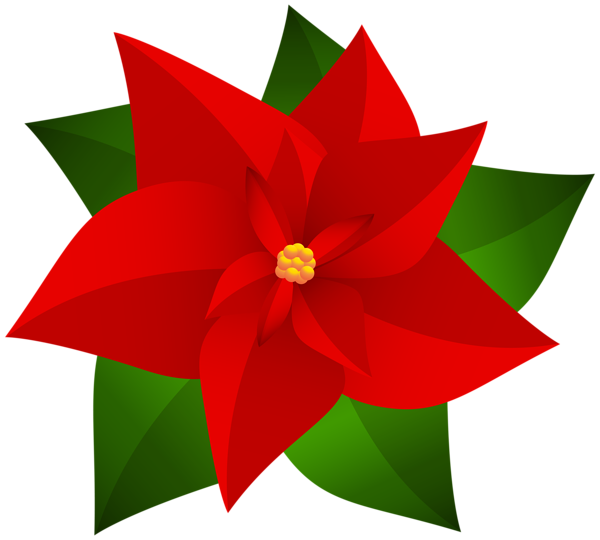 This png image - Christmas Poinsettia Transparent Clip Art, is available for free download