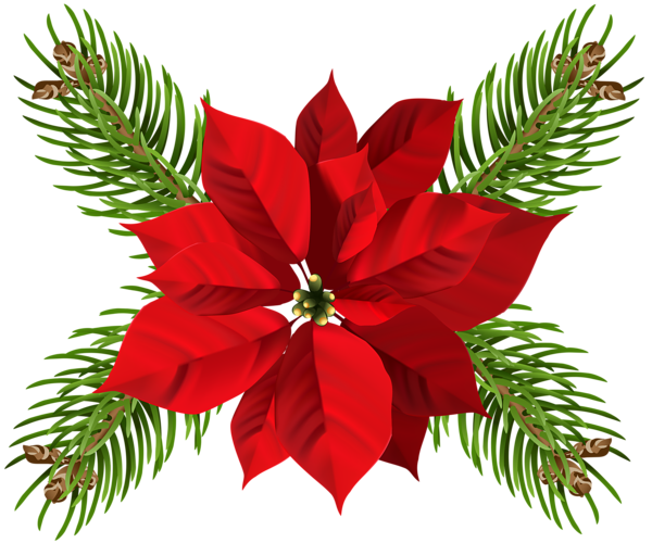 This png image - Christmas Poinsettia Transparent PNG Clip Art, is available for free download