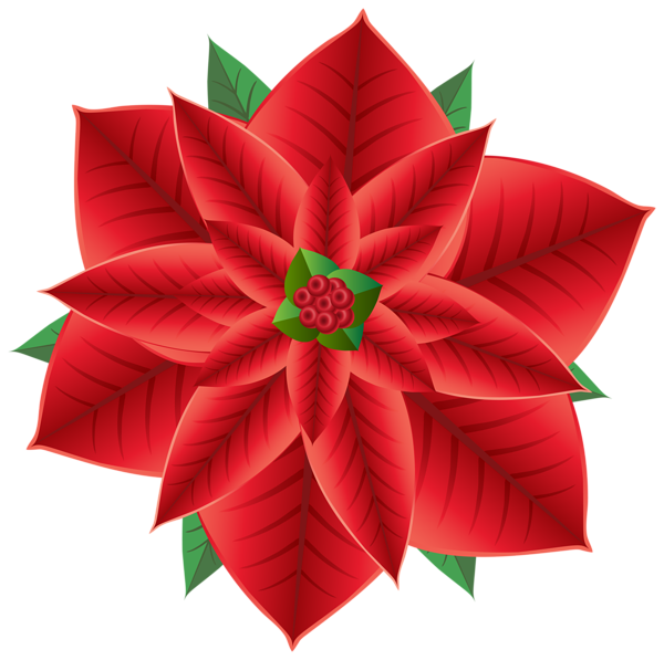 This png image - Christmas Poinsettia Transparent PNG Clip Art Image, is available for free download