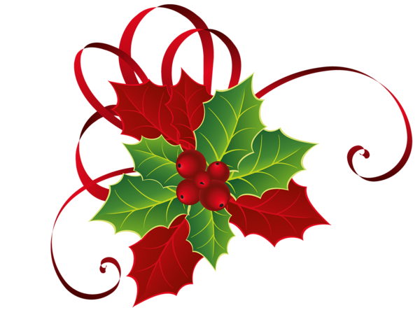 This png image - Christmas Red Green Mistletoe PNG Picture, is available for free download