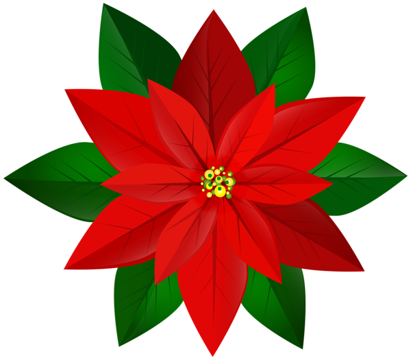 This png image - Christmas Red Poinsettia PNG Clip Art Image, is available for free download