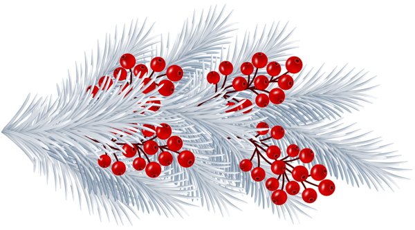 This png image - Christmas White Branch Transparent PNG Clip Art, is available for free download