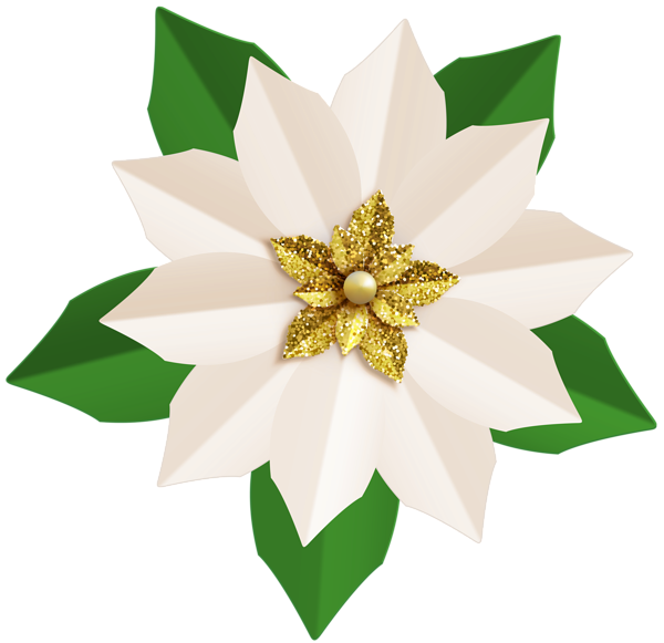 This png image - Christmas White Poinsettia PNG Clip Art Image, is available for free download