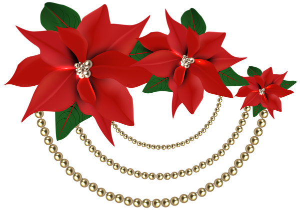 This png image - Decorative Christmas Poinsettias with Pearls PNG Clipart Image, is available for free download