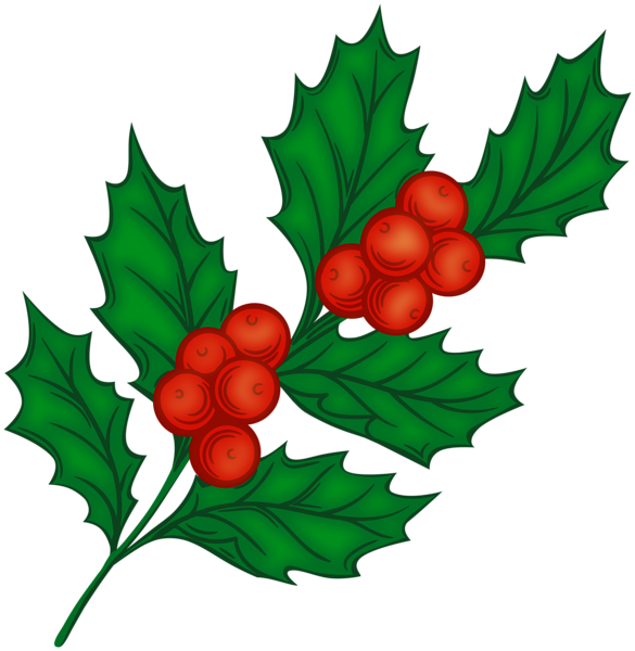 This png image - Decorative Mistletoe PNG Clipart, is available for free download