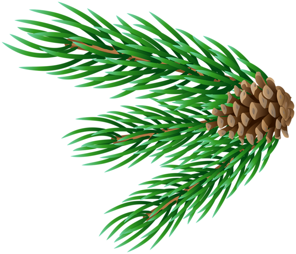 This png image - Fir Branch Corner Decor PNG Clipart, is available for free download