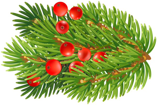 This png image - Fir Branch Decoration PNG Christmas Clipart, is available for free download