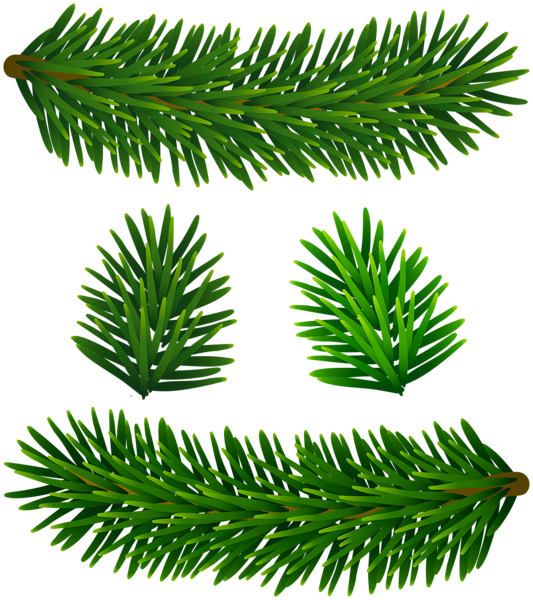 This png image - Fir Tree Branches PNG Clipart, is available for free download
