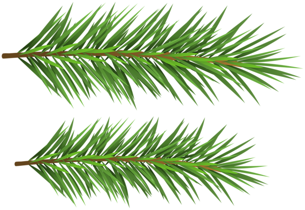 This png image - Fir Tree Branches PNG Transparent Clipart, is available for free download