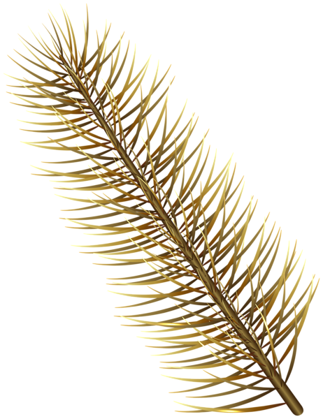 This png image - Gold Pine Branch Transparent Png Image, is available for free download