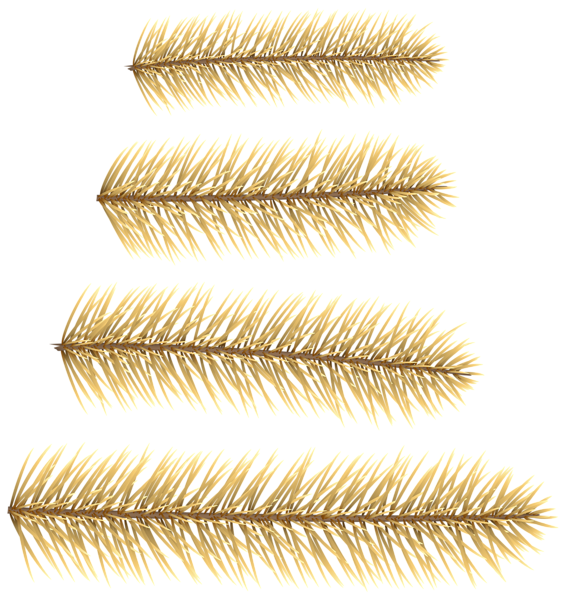 This png image - Gold Pine Branches Decoration PNG Clip Art, is available for free download