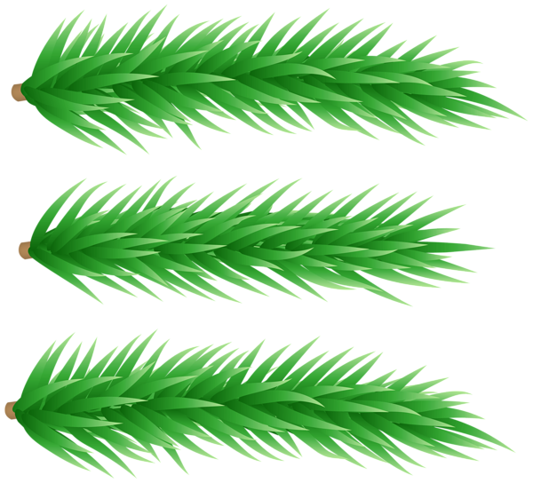 This png image - Green Fir Branches PNG Transparent Clipart, is available for free download