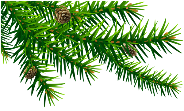 This png image - Green Pine Branch PNG Clip Art Image, is available for free download