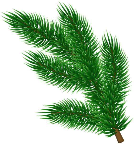 This png image - Green Pine Branch PNG Transparent Clipart, is available for free download