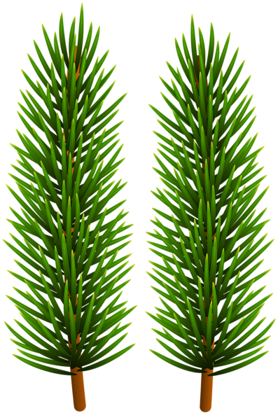 This png image - Green Pine Branches PNG Clipart, is available for free download