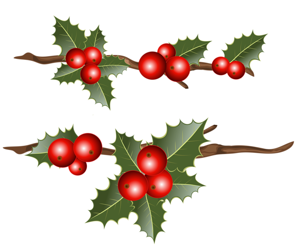 This png image - Holly Branches PNG Clipart Image, is available for free download