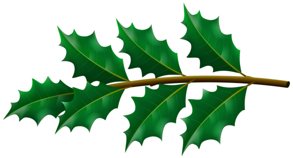 This png image - Holly Mistletoe Branch PNG Clipart, is available for free download