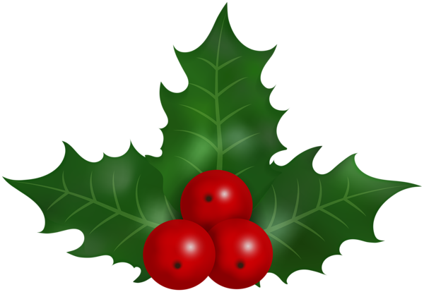This png image - Holly Mistletoe Christmas Clip Art, is available for free download
