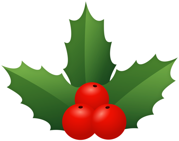 This png image - Holly Mistletoe Christmas PNG Clip Art, is available for free download
