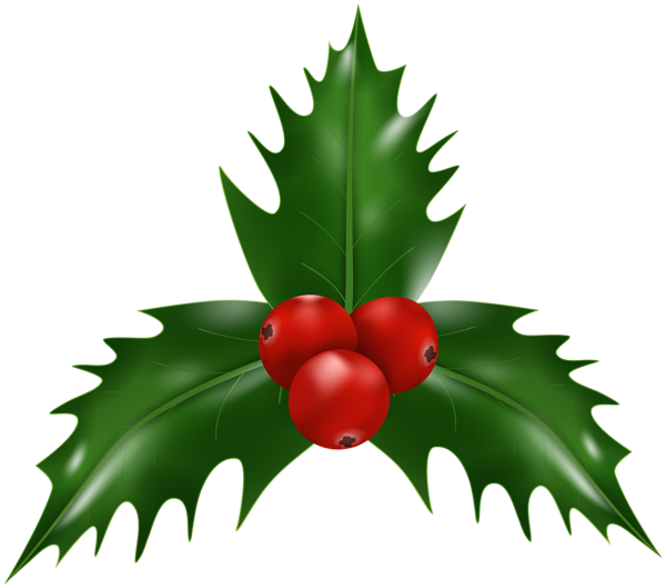 This png image - Holly Mistletoe Christmas PNG Clipart, is available for free download