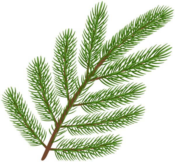 This png image - Large Branch Decorative Clipart, is available for free download